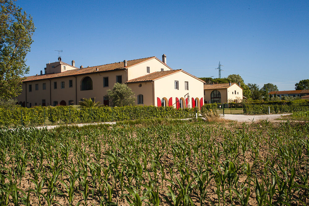 Cascina Canova B&B Сан Джулиано Терме Екстериор снимка