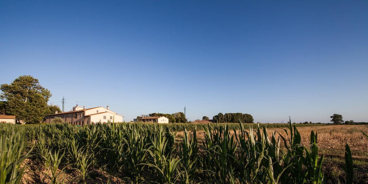 Cascina Canova B&B Сан Джулиано Терме Екстериор снимка