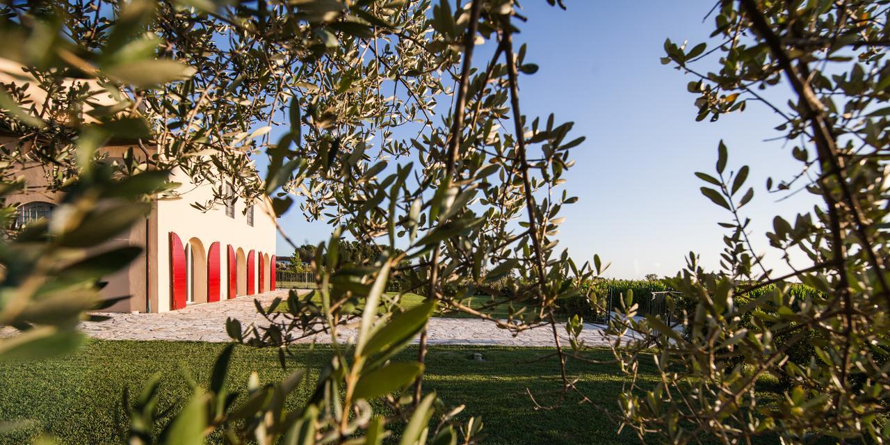 Cascina Canova B&B Сан Джулиано Терме Екстериор снимка