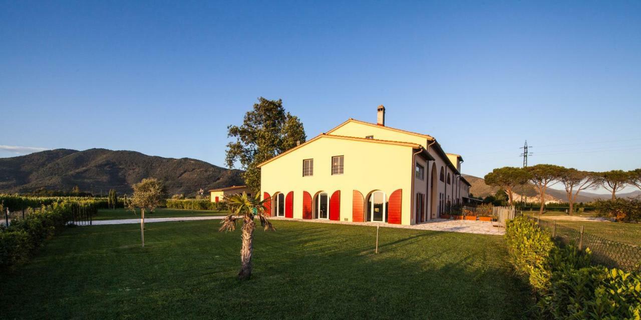 Cascina Canova B&B Сан Джулиано Терме Екстериор снимка